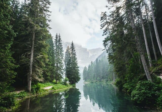 Placid lake in mountains surrounded by trees